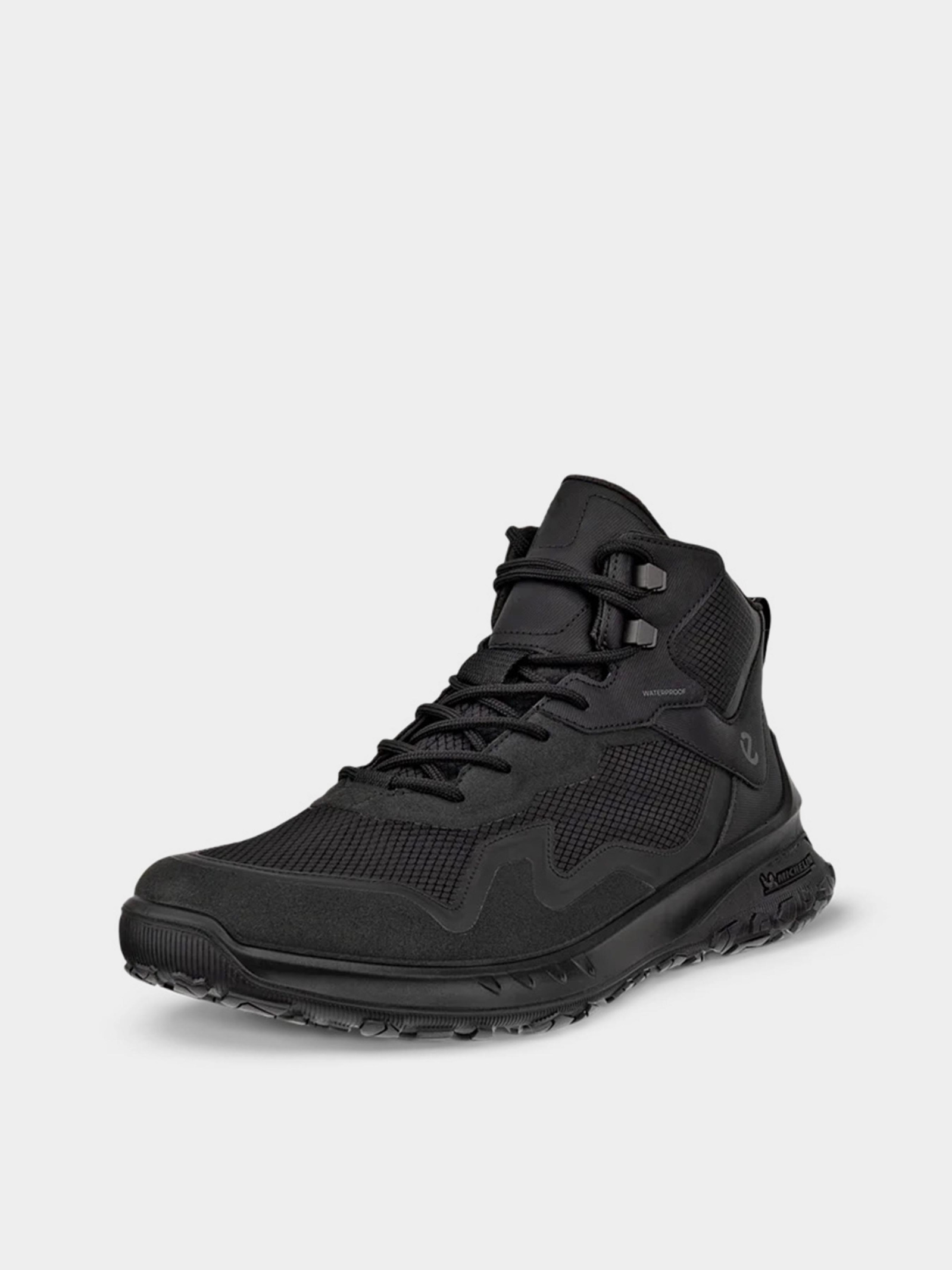 Черевики та чоботи Чоловічі ECCO