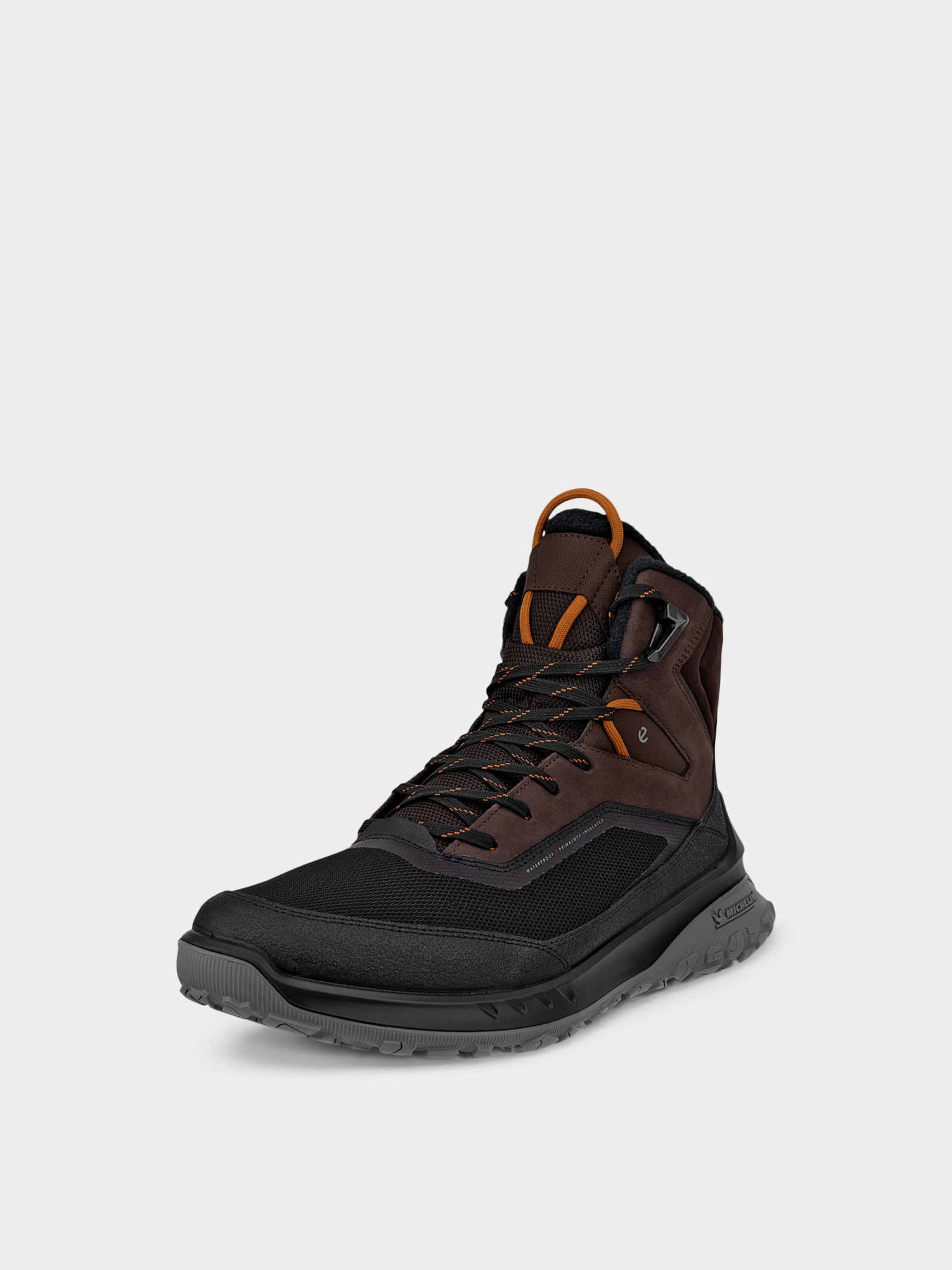 Черевики та чоботи Чоловічі ECCO