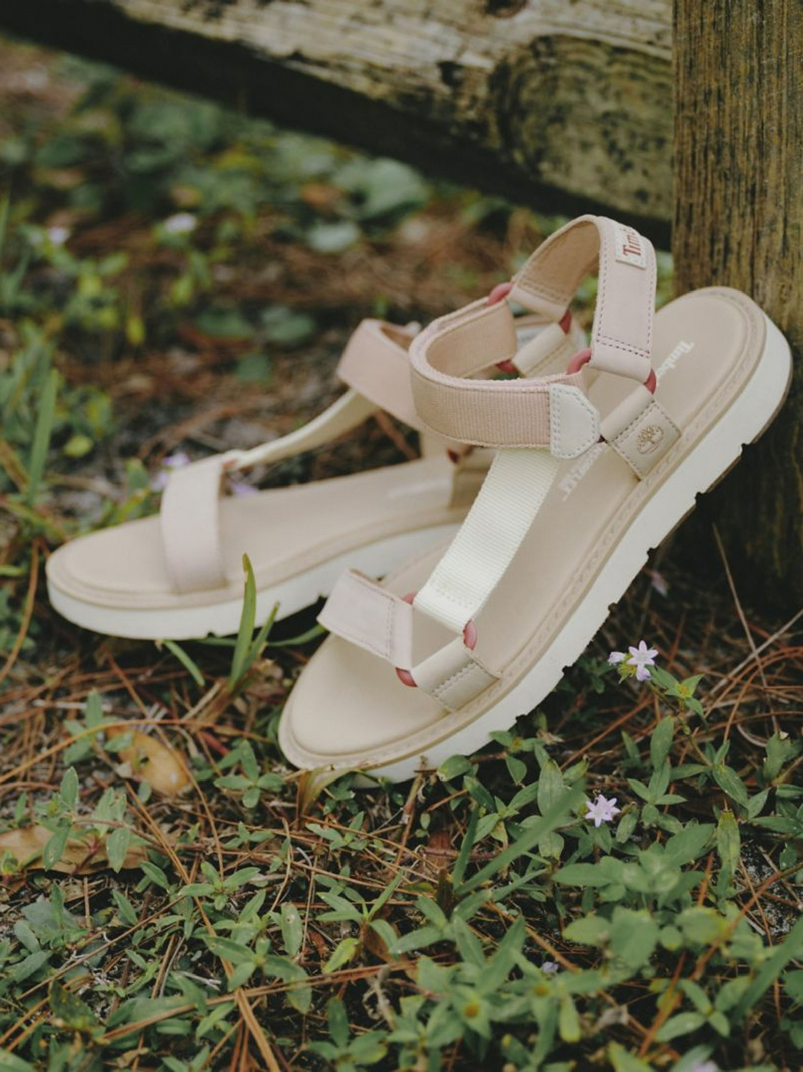 Sandals Women's Timberland