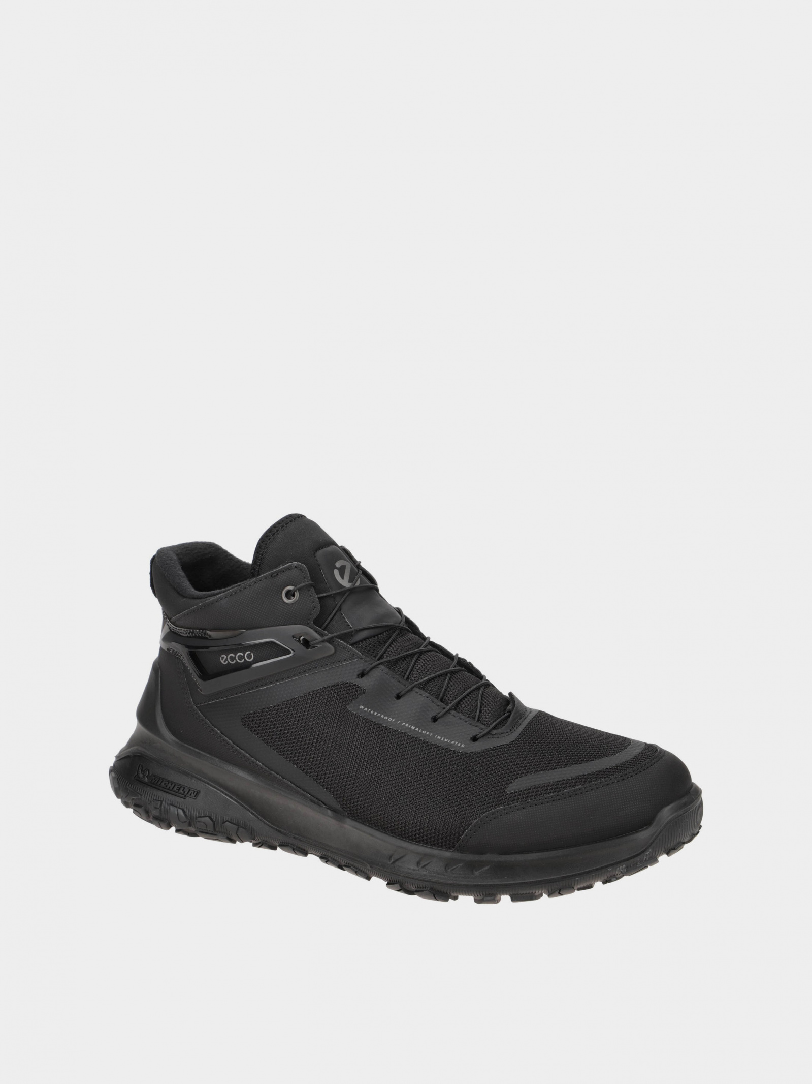 Outdoor Boots Men's ECCO