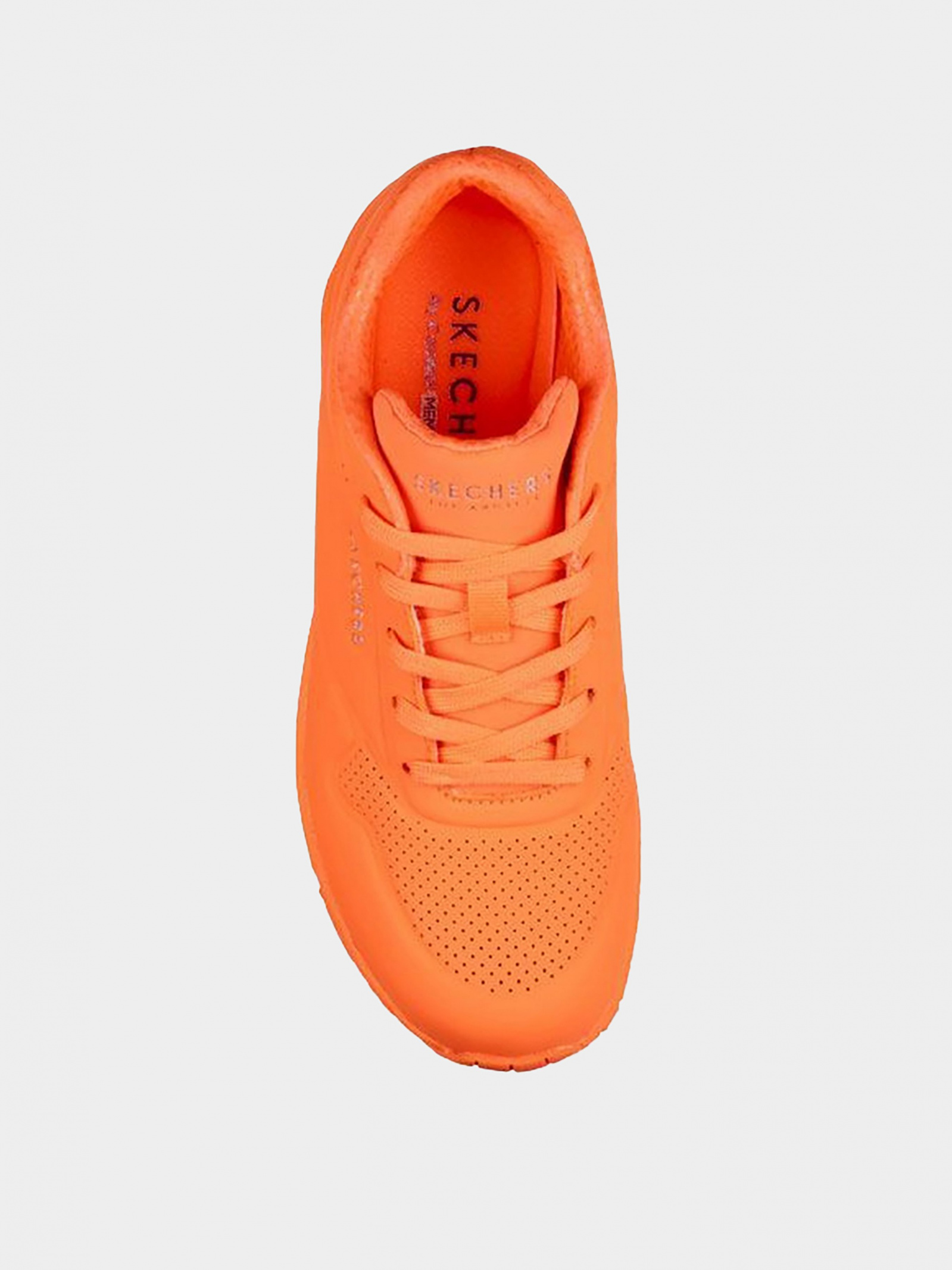 Кросівки повсякденні Жіночі Skechers