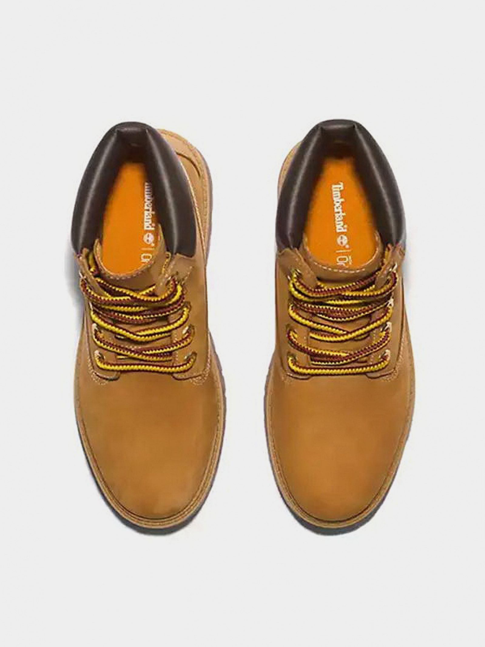 Черевики Жіночі Timberland
