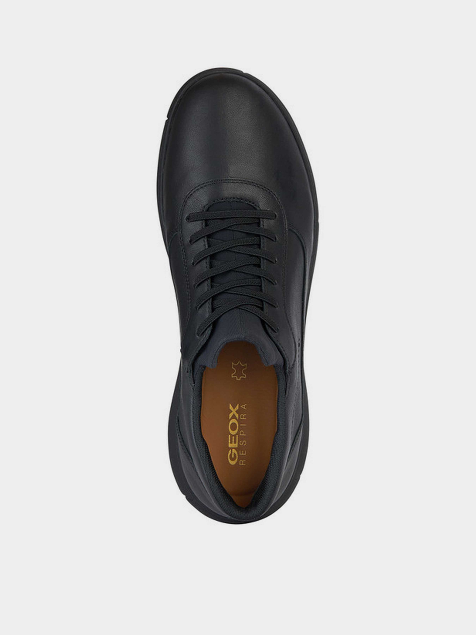 Casual Sneakers Men's Geox