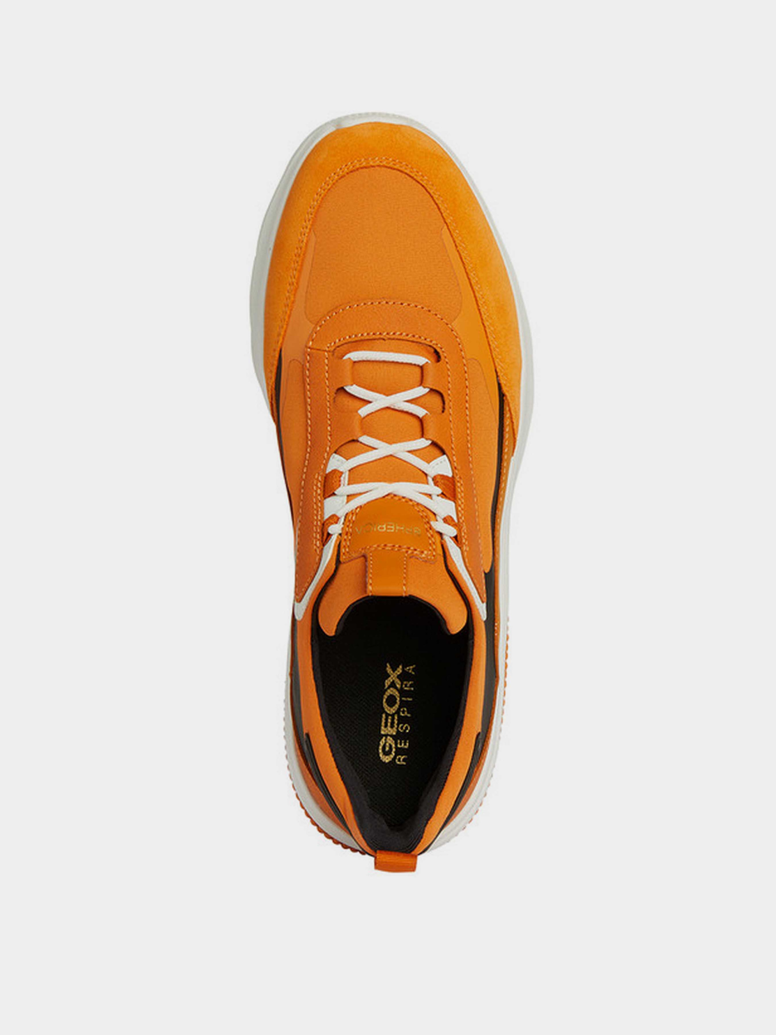 Casual Sneakers Men's Geox