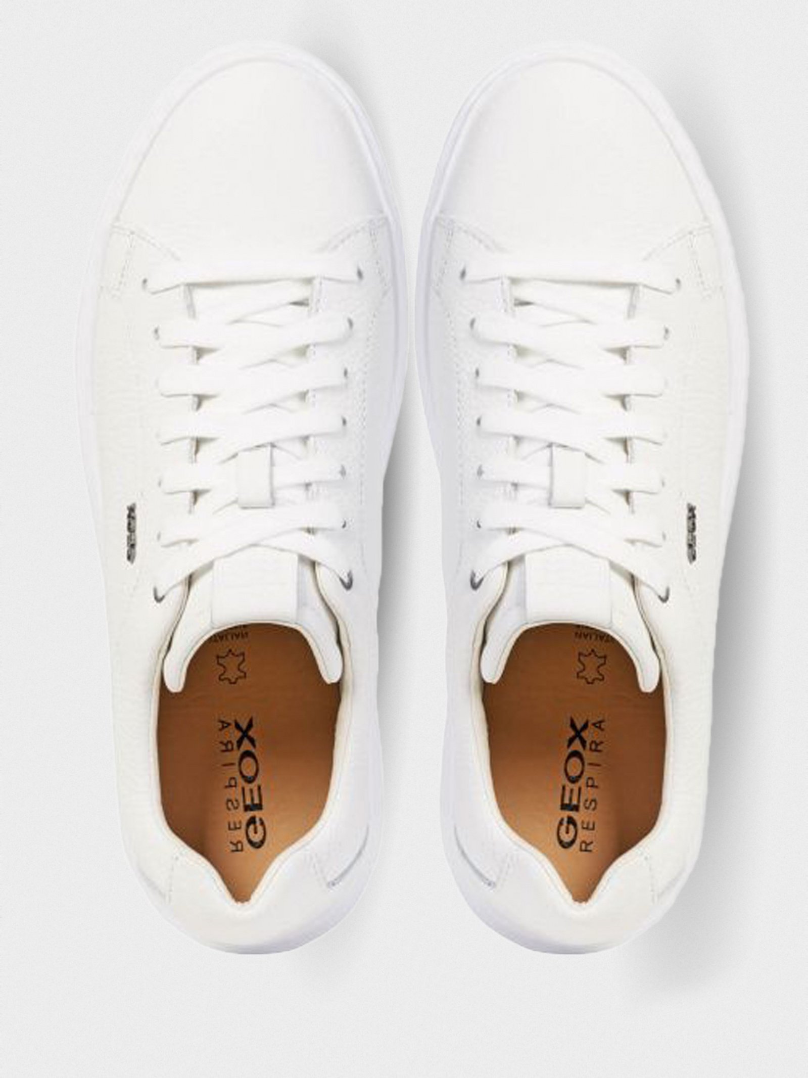 Low-Top Sneakers Men's Geox