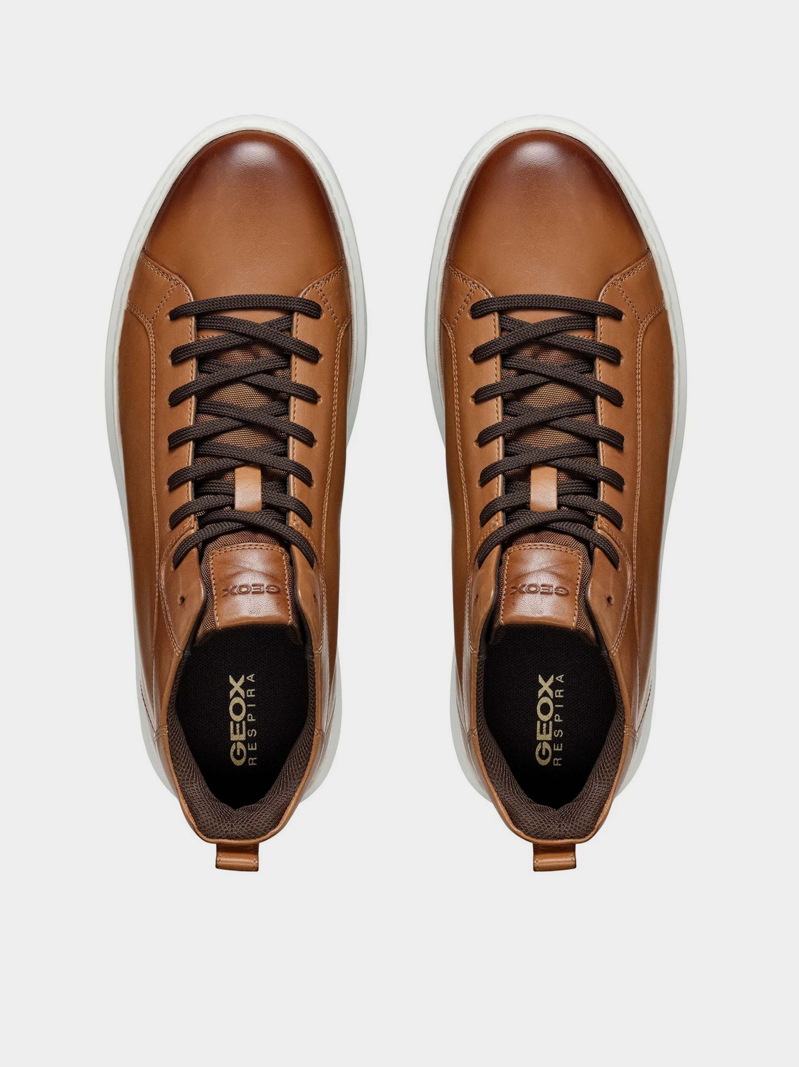 High-Top Sneakers Men's Geox