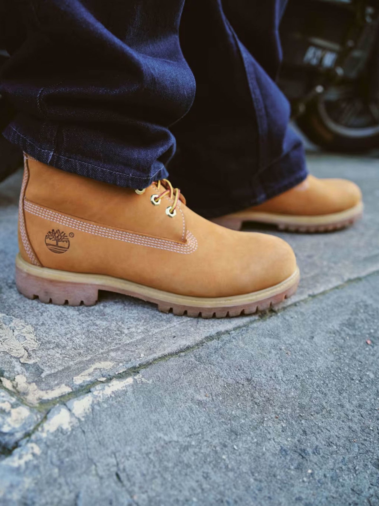 Boots Men's Timberland
