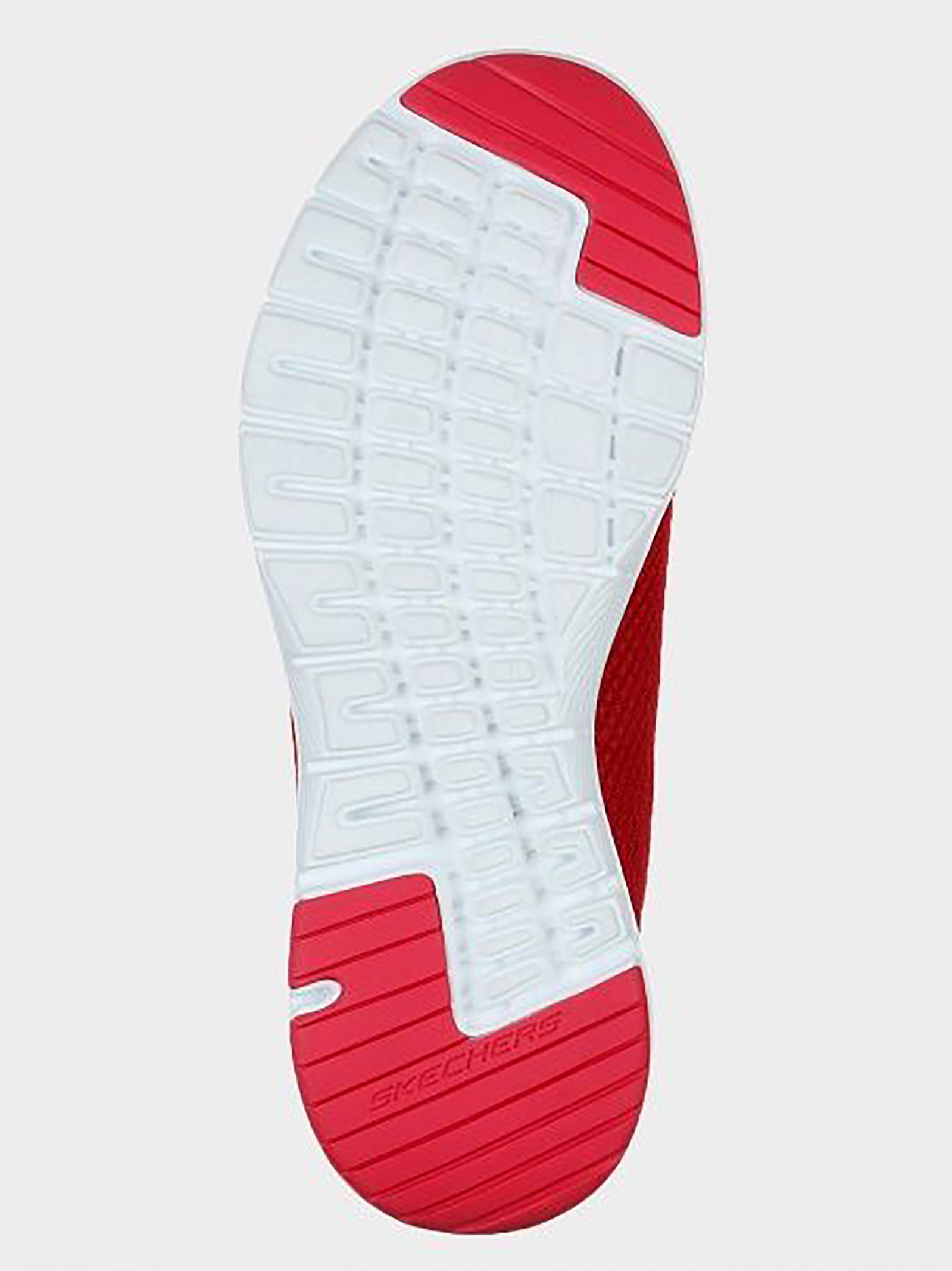 Кросівки для спорту Жіночі Skechers