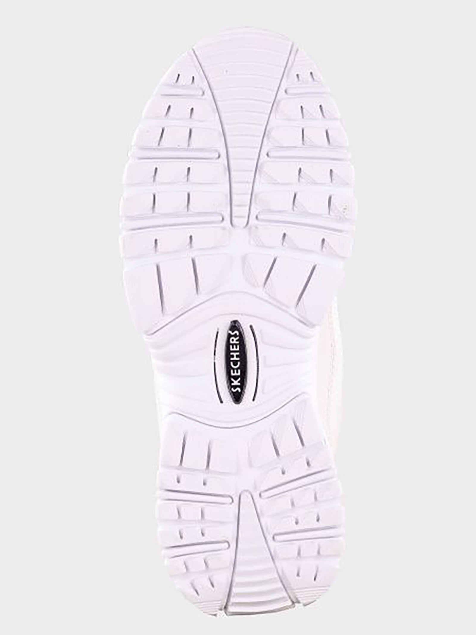Кросівки повсякденні Жіночі Skechers
