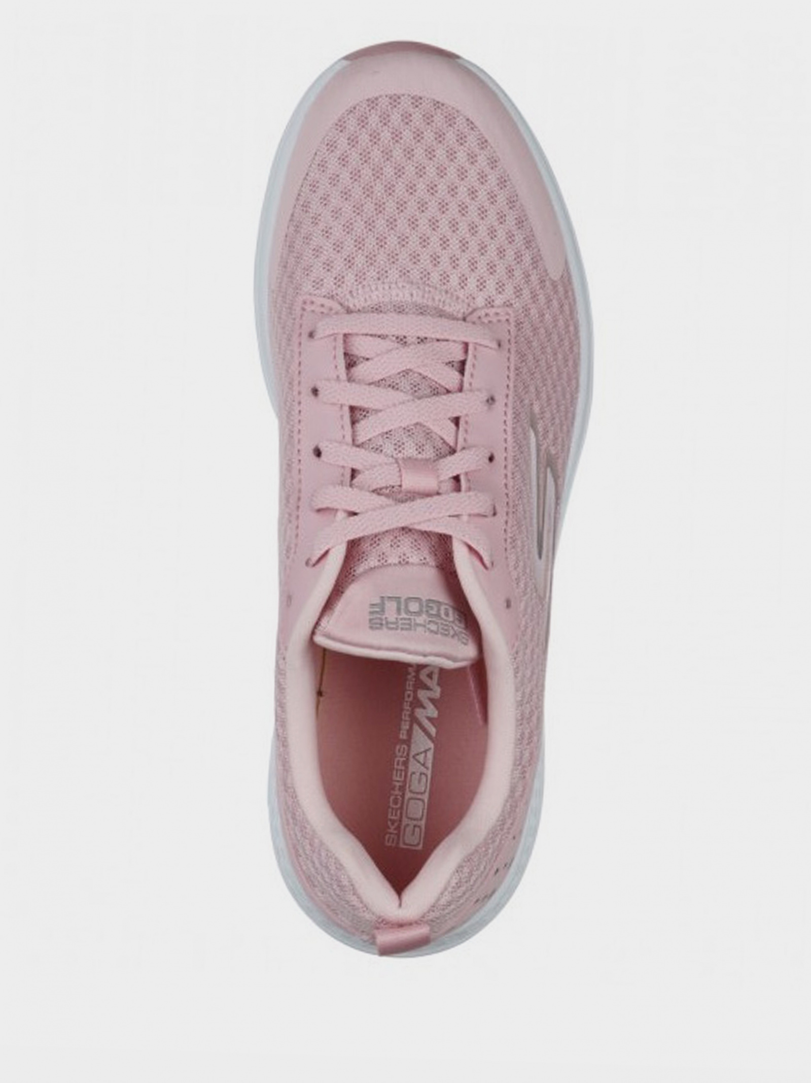 Кросівки для спорту Жіночі Skechers