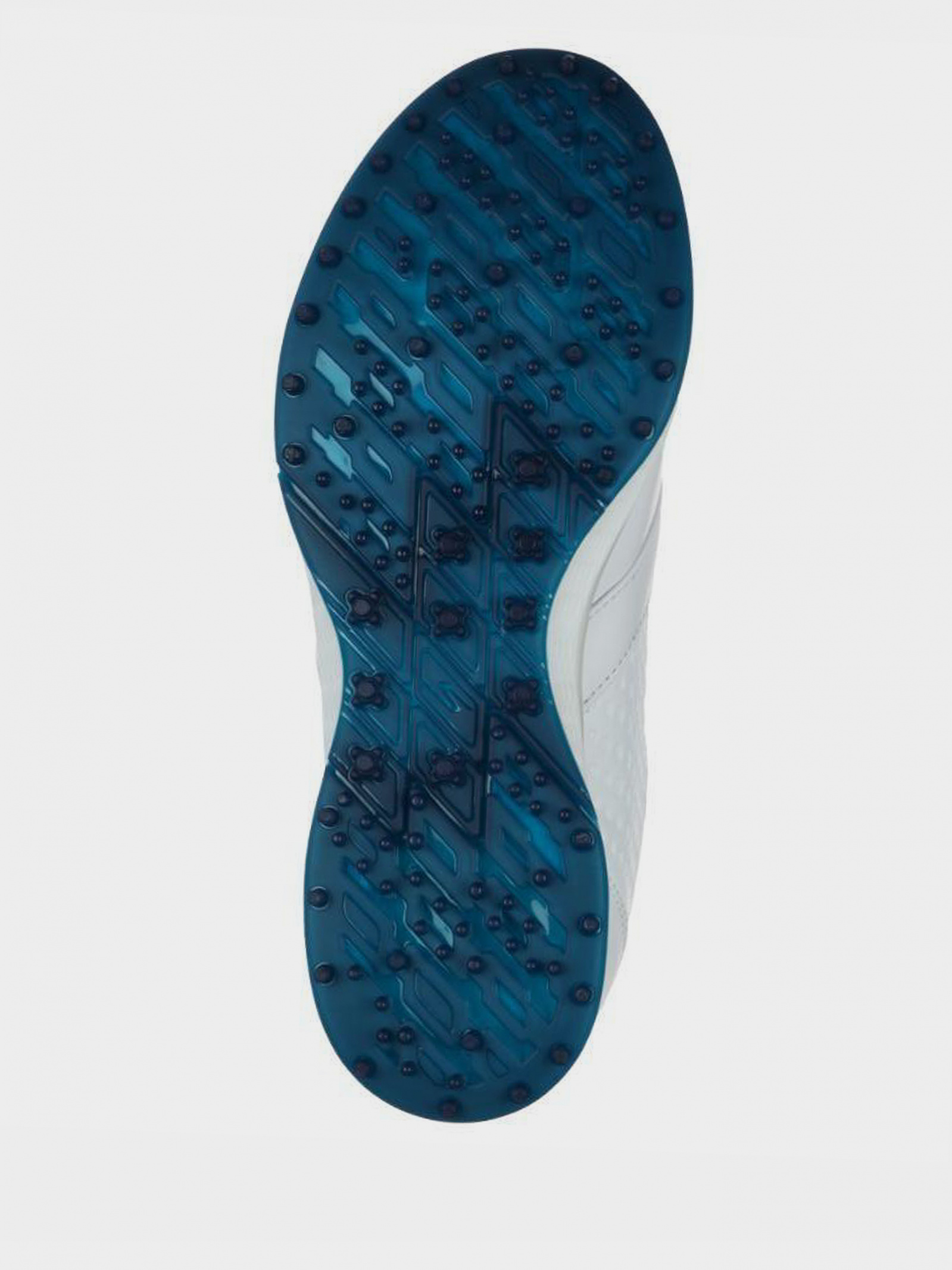 Sports Sneakers Women's Skechers