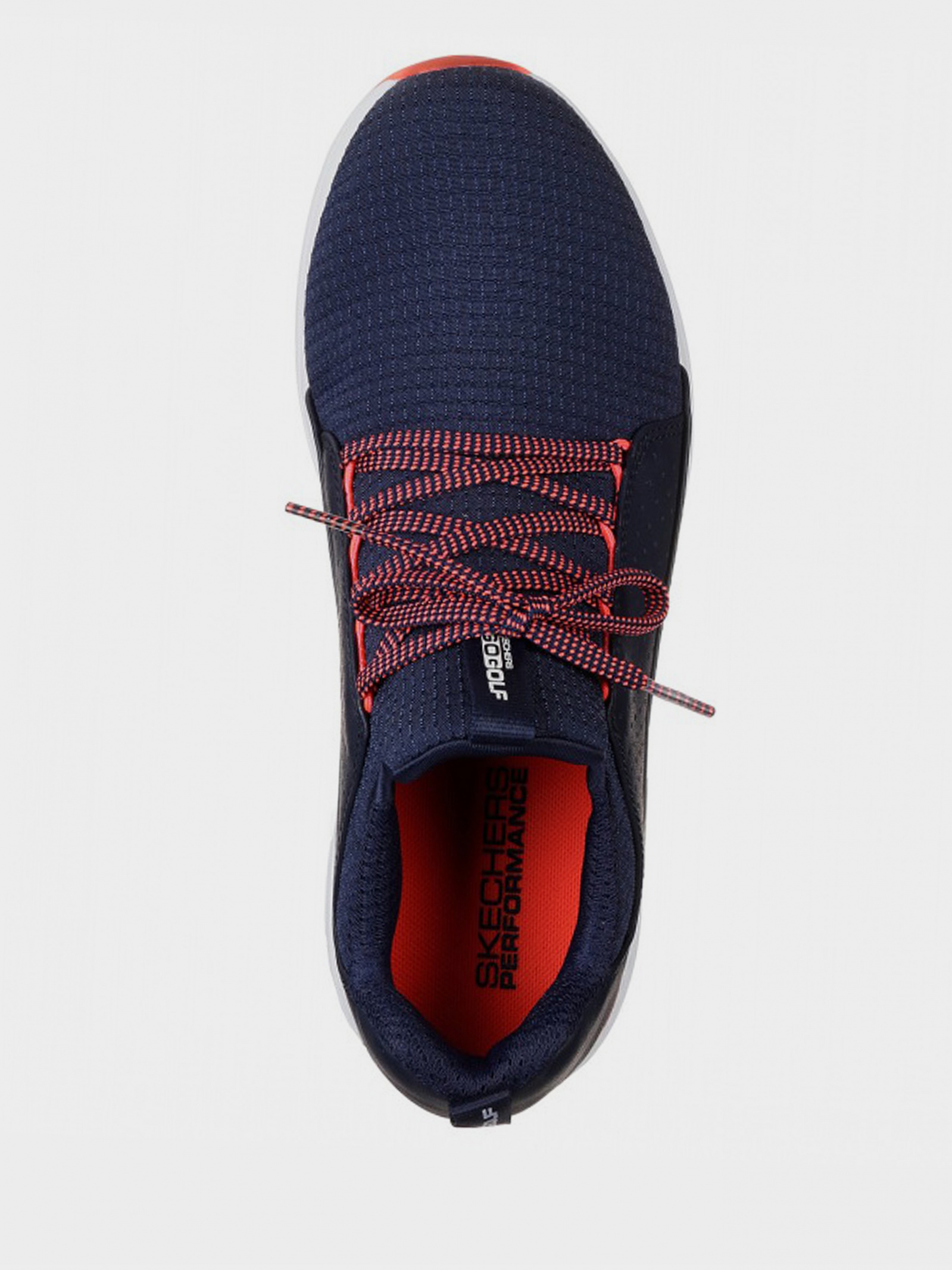 Кросівки для спорту Жіночі Skechers