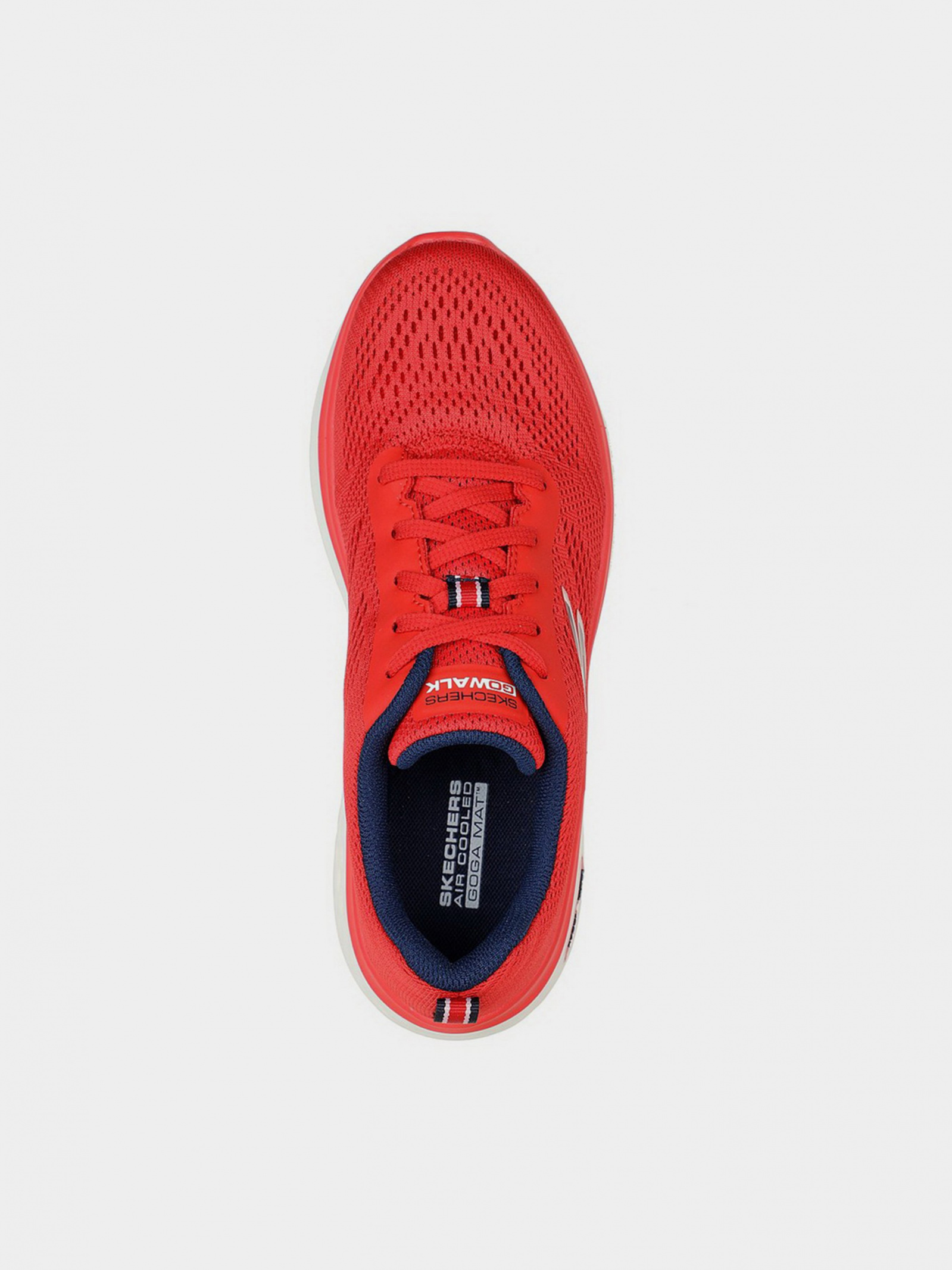 Кросівки для спорту Жіночі Skechers