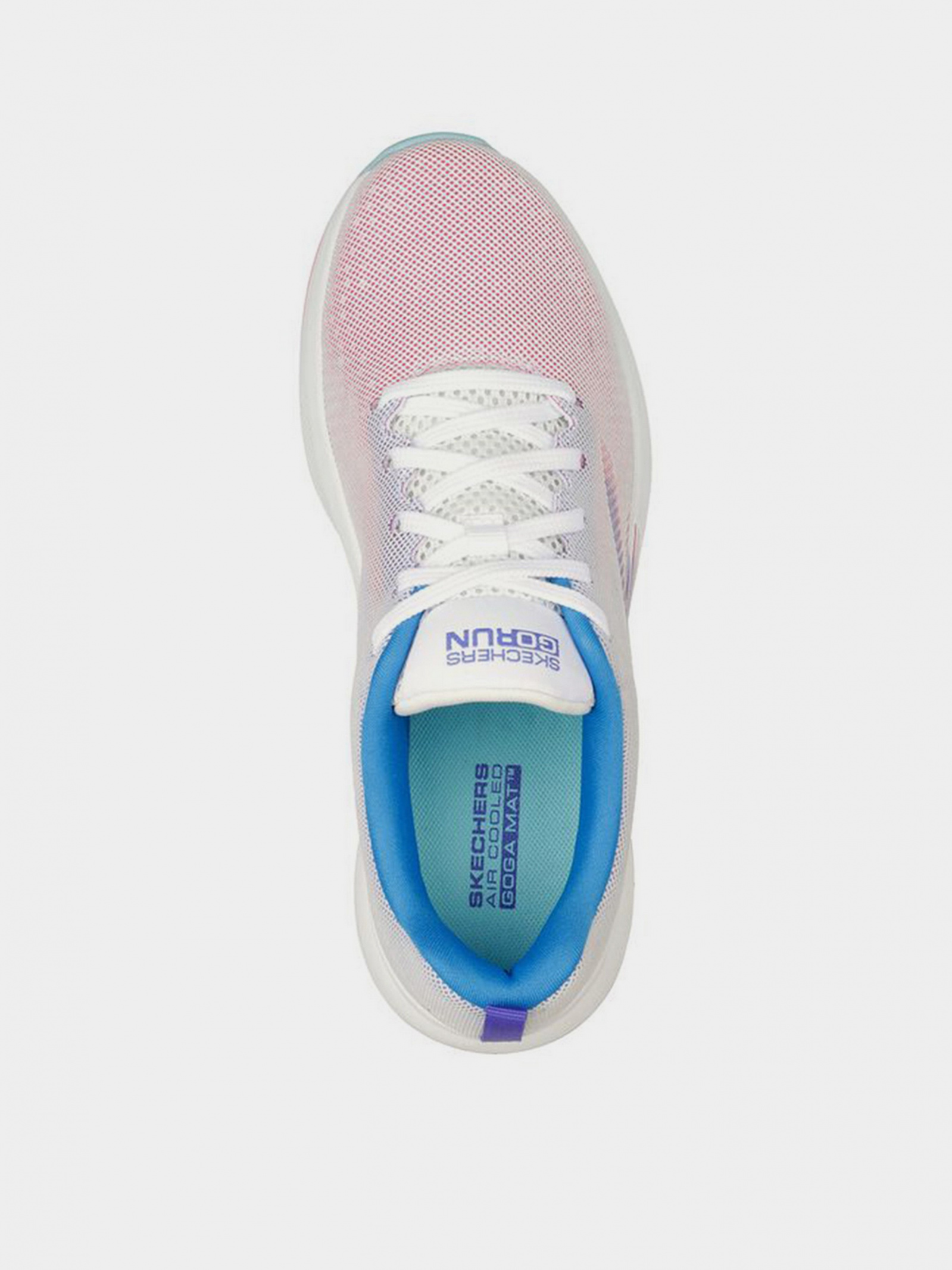 Кросівки для спорту Жіночі Skechers