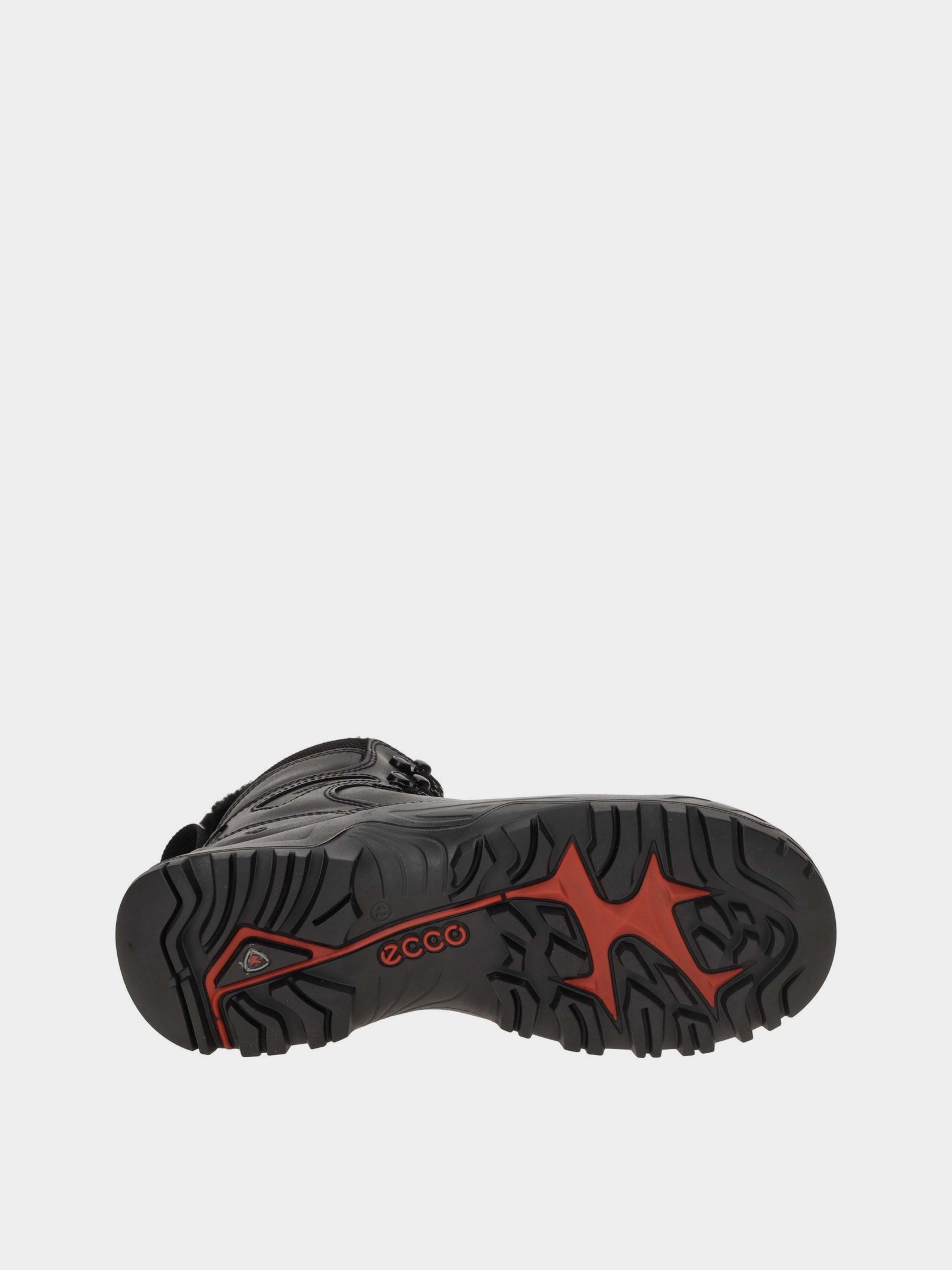 Черевики та чоботи Чоловічі ECCO