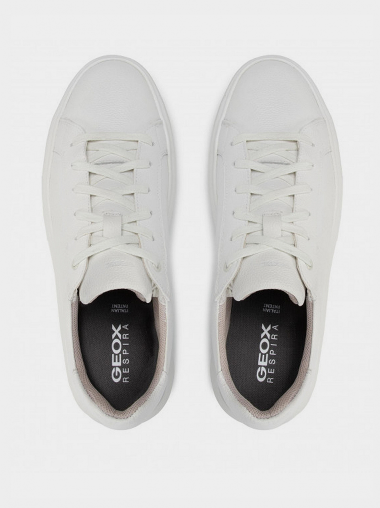 Low-Top Sneakers Men's Geox