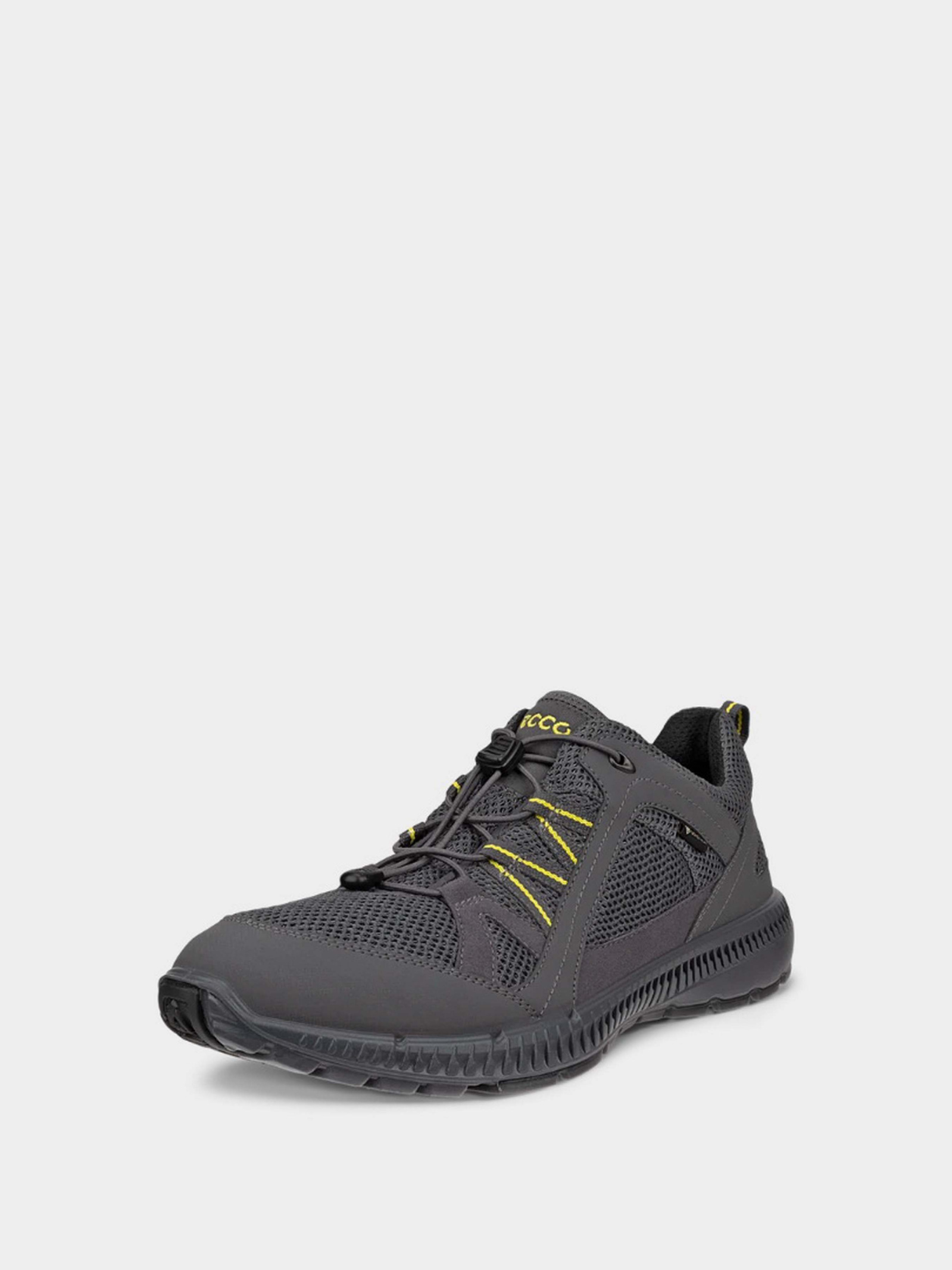 Кросівки Чоловічі ECCO