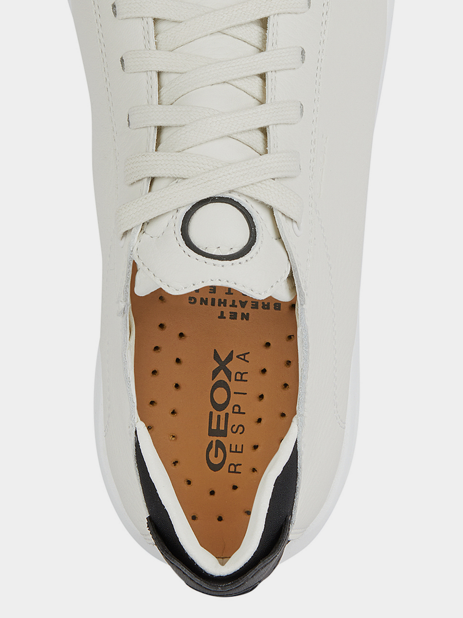 Casual Sneakers Men's Geox