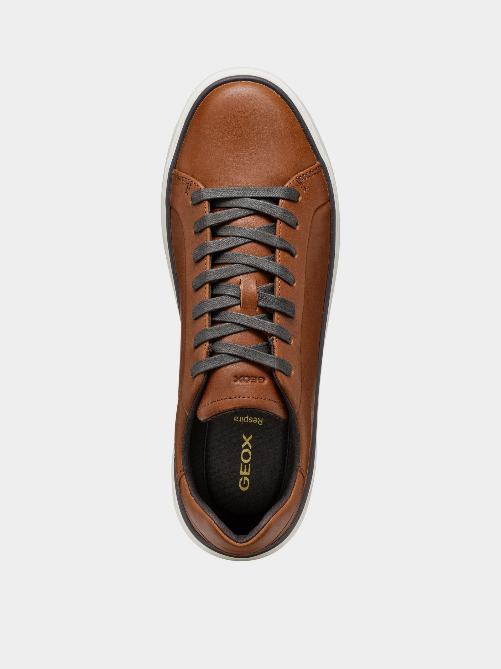 Low-Top Sneakers Men's Geox