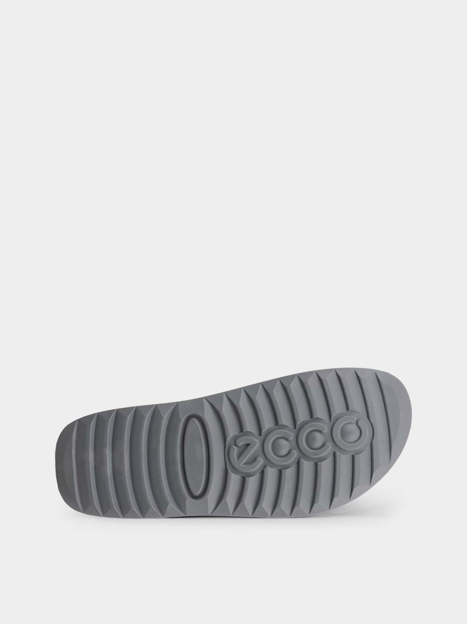 Шлепанцы Мужские ECCO