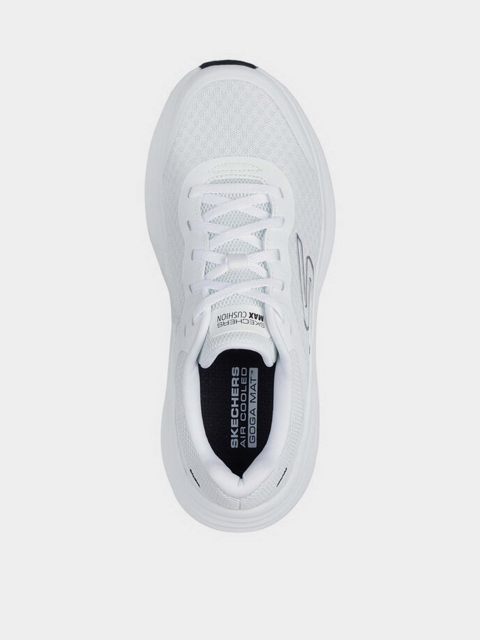 Кросівки для спорту Жіночі Skechers